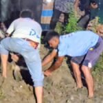 নেত্রকোনায় নিখোঁজের ছয় দিন পর সাবেক স্বামী আটক