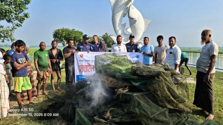 ঠাকুরগাঁওয়ে মৎস্য সুরক্ষা আইনে অভিযান, বিপুল পরিমাণ নিষিদ্ধ জাল জব্দ