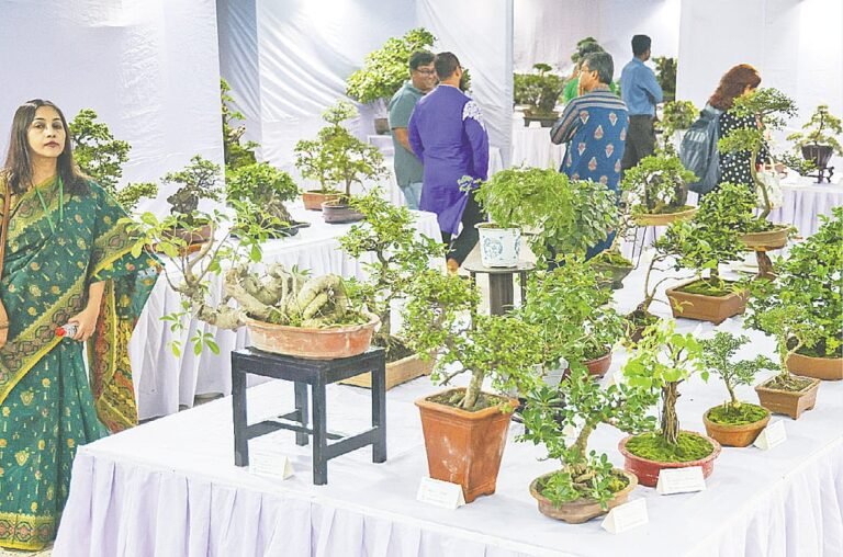 ধানমন্ডিতে ২৫তম বার্ষিক বনসাই প্রদর্শনী: চোখ ধাঁধানো সব শিল্পকর্ম