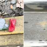 হাইকোর্টের প্রধান ফটকের সামনে ককটেল বিস্ফোরণ
