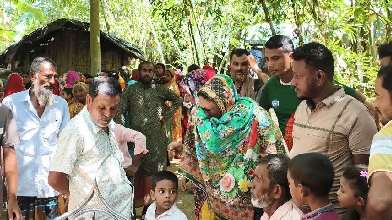 শৈলকুপায় সাপের কামড়ে কিশোরের মৃত্যু