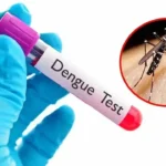 খুলনা বিভাগে ডেঙ্গুর প্রকোপ: ২৪ ঘণ্টায় মৃত ৫
