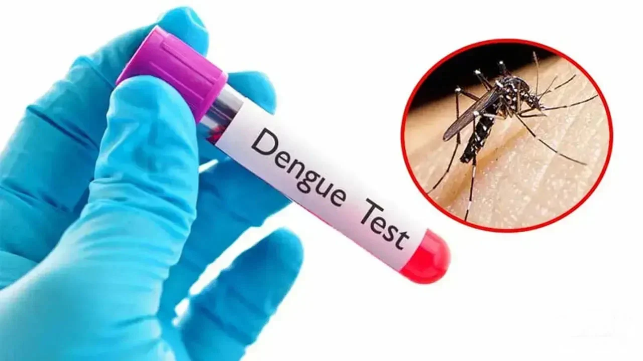 খুলনা বিভাগে ডেঙ্গুর প্রকোপ: ২৪ ঘণ্টায় মৃত ৫