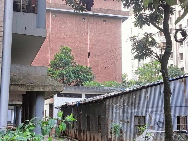 ঢাবি হলের নবম তলা থেকে পড়েও প্রাণে বাঁচলেন শিক্ষার্থী