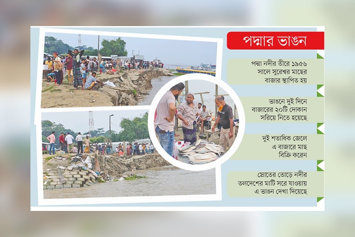 শরীয়তপুরে পদ্মার ভাঙনে বিলীন বাঁধের ৫০ মিটার অংশ
