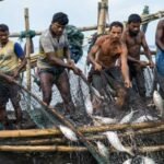 ইলিশ রক্ষায় সাড়ে ৬ লাখ জেলে পরিবার পাচ্ছে সরকারি