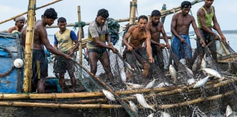 ইলিশ রক্ষায় সাড়ে ৬ লাখ জেলে পরিবার পাচ্ছে সরকারি