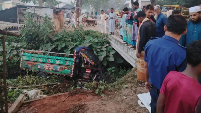 চুয়াডাঙ্গায় গরুবাহী ট্রলি নিয়ন্ত্রণ হারিয়ে খাদে, নিহত ১