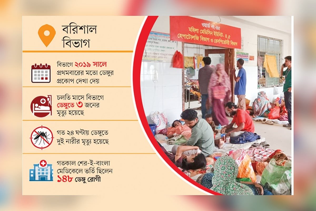 বরিশাল বিভাগে তিন মাসে ডেঙ্গু রোগী বাড়ল ছয় গুণ