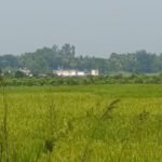 নওগাঁ সীমান্তে সাতজনকে পুশইনের চেষ্টা রুখল বিজিবি