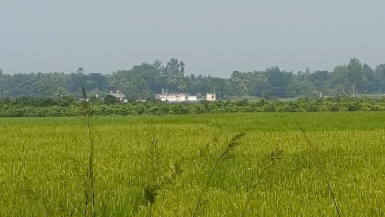 নওগাঁ সীমান্তে সাতজনকে পুশইনের চেষ্টা রুখল বিজিবি