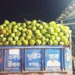 ডাব বিক্রিতেই কোটিপতি চরফ্যাশনের প্রান্তিক চাষিরা
