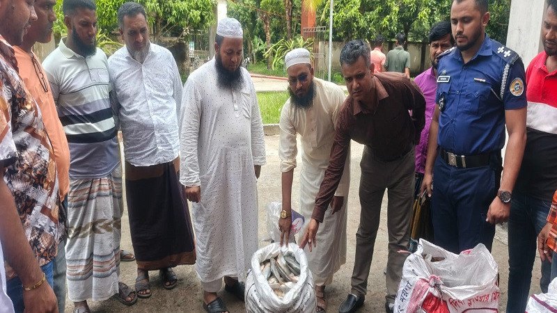 চরফ্যাশনে ২০০ কেজি মা ইলিশ জব্দ, এতিমখানায় বিতরণ